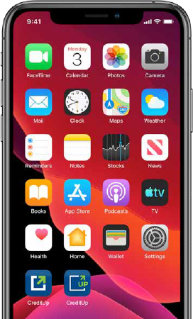 iPhone device showing the home screen